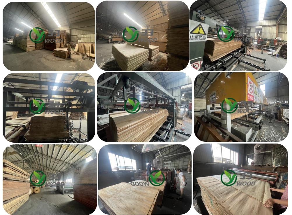 12mm Okoume Pine Poplar Beech ash walnut Red Oak Hardwood Faced Laminated Poplar Commercial Plywood (图4)