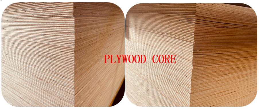 12mm Okoume Pine Poplar Beech ash walnut Red Oak Hardwood Faced Laminated Poplar Commercial Plywood (图12)