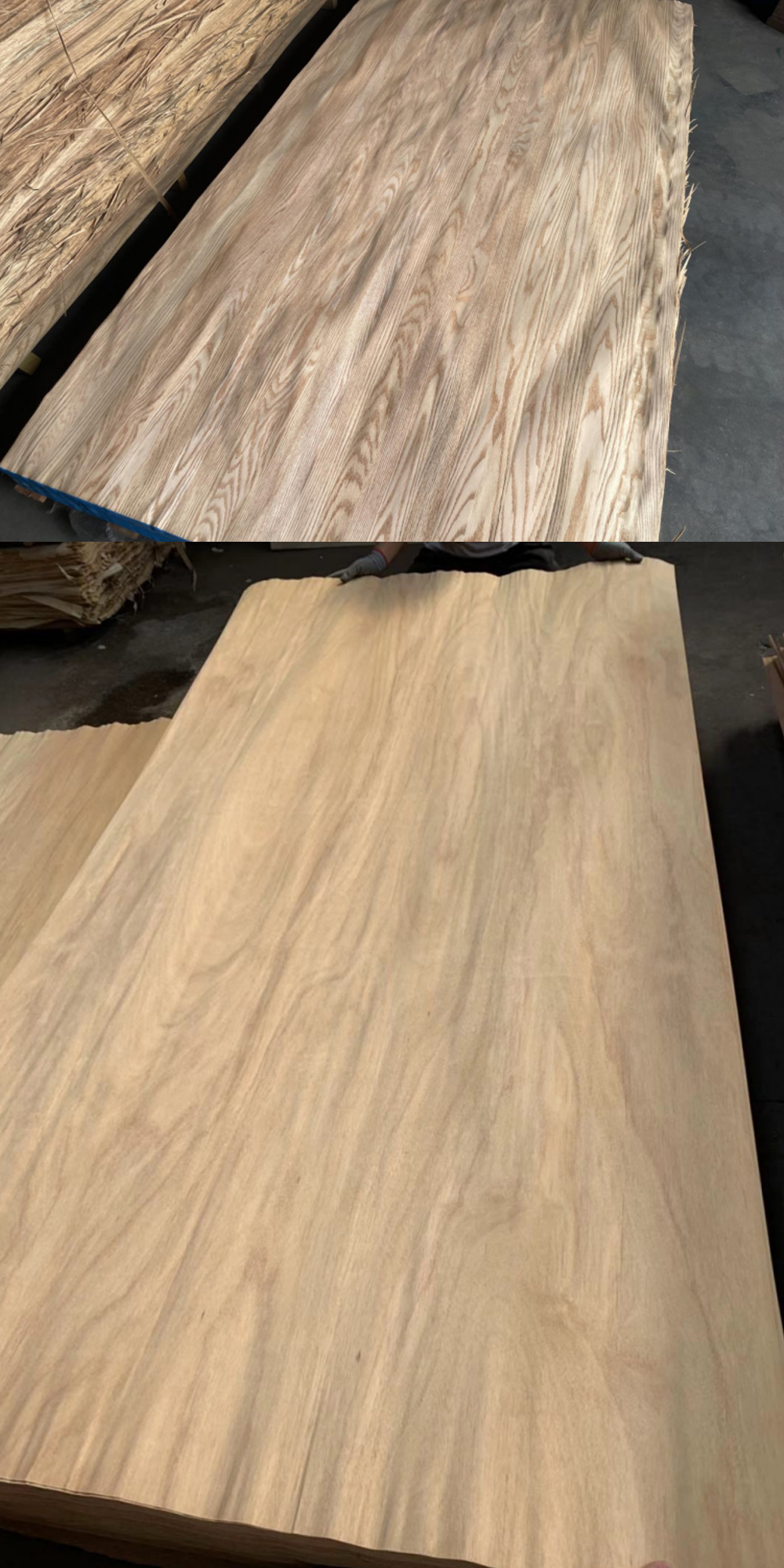 AAA grade 0.3mm 0.4mm natural red oak birch veneer from america (图1)