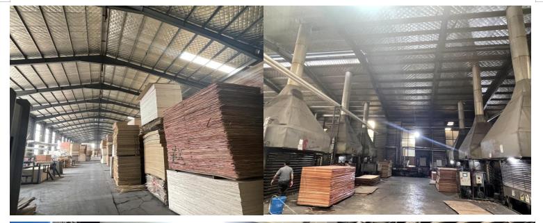 china good quality melamine paper faced plywood,wood grain laminated plywood factory(图6)