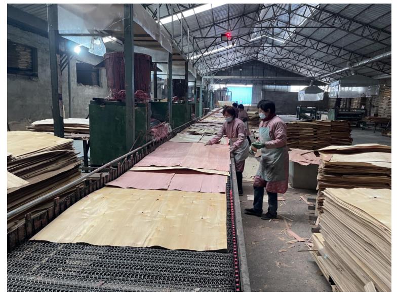 china good quality melamine paper faced plywood,wood grain laminated plywood factory(图4)