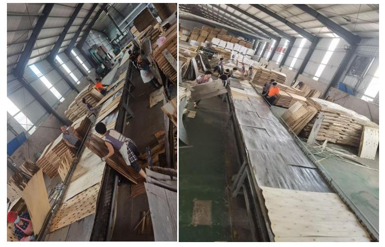 china good quality melamine paper faced plywood,wood grain laminated plywood factory(图3)