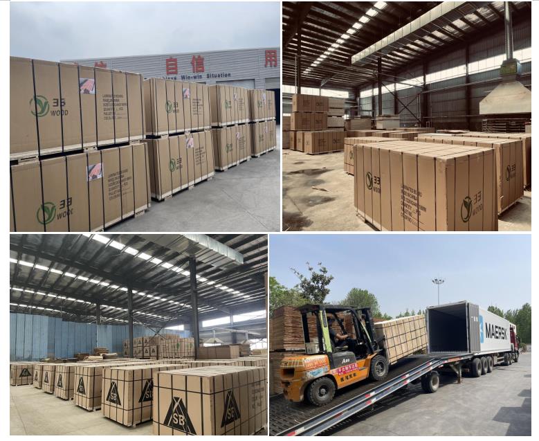 china good quality melamine paper faced plywood,wood grain laminated plywood factory(图18)